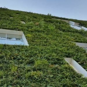 Bijvangst van de energietransitie